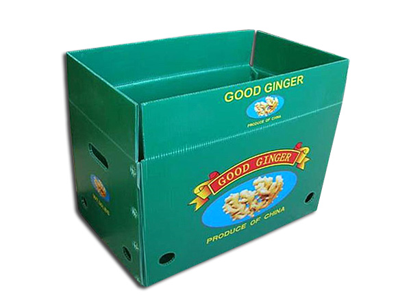  Fruit&vegetable packaging box